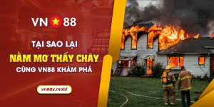 69 Tai sao lai nam mo thay chay Cung VN88 kham pha