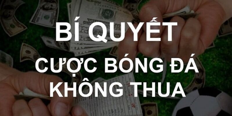 Cách chơi cá độ bóng đá không thua - Hướng dẫn chi tiết 2 Hiểu rõ các quy luật cơ bản về cá độ bóng đá