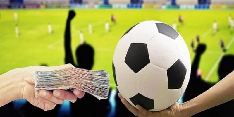 Cách chơi cá độ bóng đá không thua - Hướng dẫn chi tiết 3 Phân tích kỹ lưỡng trước khi đặt cược trong cá độ bóng đá