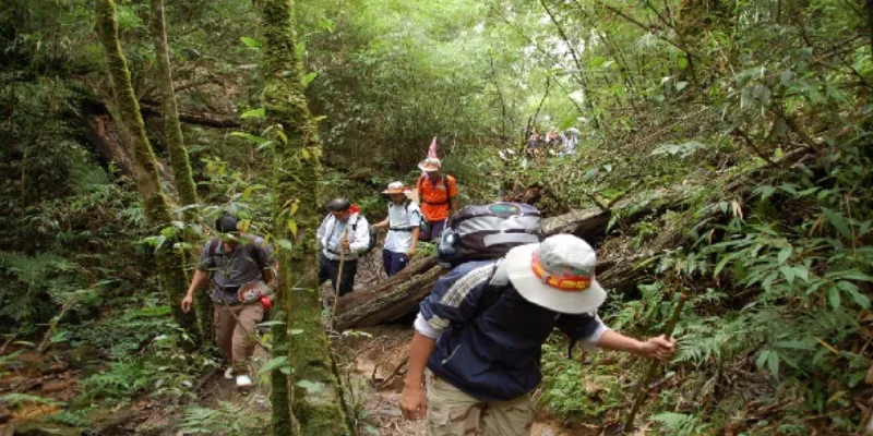 Mơ thấy đi lạc đường: Ý nghĩa và thông điệp sâu sắc cần biết 3 Sự liên hệ giữa giấc mơ đi lạc đường và con số đem lại thịnh vượng