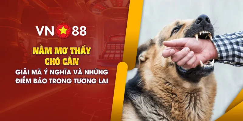 Nằm mơ thấy chó cắn - Giải mã ý nghĩa và điềm báo tương lai 1 add nam mo thay cho can 1