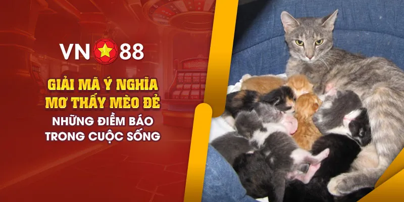 Giải mã ý nghĩa mơ thấy mèo đẻ - Điềm báo trong cuộc sống 1 mo thay meo de 4