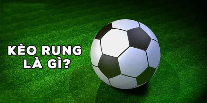 Cách xem kèo rung cho người mới - Hướng dẫn chi tiết nhất 2 Các thông tin chính về kèo rung