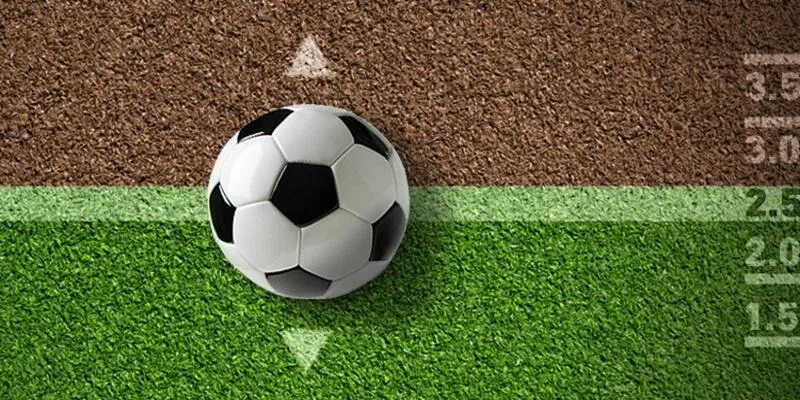 Cách xem kèo rung cho người mới - Hướng dẫn chi tiết nhất 3 Chi tiết cách xem kèo rung cho người mới bắt đầu