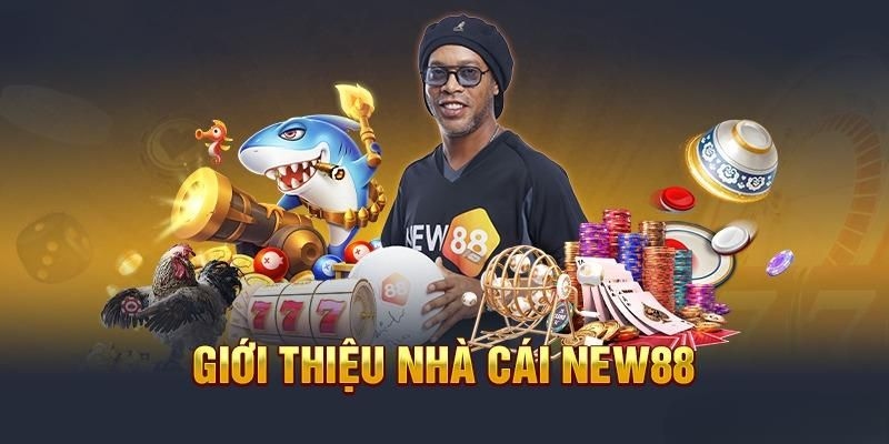 Nhà Cái New88 - Nền Tảng Đặt Cược Online Uy Tín Nhất Hiện Nay 4 Chất lượng dịch vụ